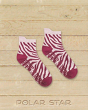Zebra Fuchsia